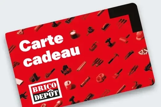 Brico Dépôt